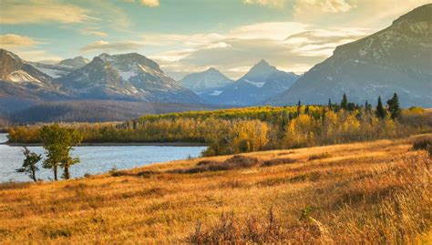 Delve into the Fairy-Tale World of Gleaming Spell Montana